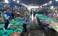 Video: “Thiên đường” hải sản Cần Giờ nhộn nhịp đón khách du lịch dịp lễ 30/4 - 1/5 