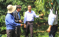 Ra mắt Câu lạc bộ "Nông dân sản xuất, kinh doanh giỏi" đầu tiên của tỉnh Đắk Lắk