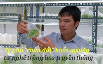 Hà Nội: Tỷ phú "chân đất" tuổi 30 - Khởi nghiệp từ nghề trồng hoa truyền thống