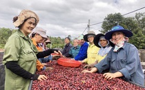 Nâng cao vai trò của Hội Nông dân Việt Nam trong việc hỗ trợ nông dân khởi nghiệp, sáng tạo