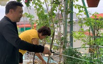 Thái Bình: Vườn sân thượng trồng la liệt cây cảnh phong thủy độc đáo, lạ mắt của bà mẹ trẻ