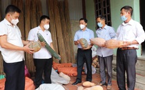 Hội Nông dân Bắc Giang ủng hộ lương thực thực phẩm cho TP.HCM chống dịch