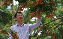 Ùn ứ nông sản tại biên giới Trung Quốc: Bài học chính quyền đồng hành, đa dạng hóa thị trường nhìn từ Bắc Giang