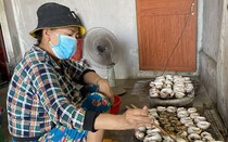 Đặc sản Bình Định đang hot là cá lóc nướng, dân ở đây báo trước hôm nay có cá lóc nuôi hay cá lóc đồng