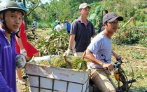 Lốc xoáy ở Lâm Đồng làm gãy đổ hơn 70 cây sầu riêng, 22 tấn trái sầu riêng rơi rụng