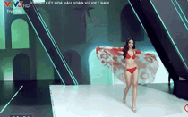 Clip Top 16 trình diễn bikini nóng bỏng tại chung kết Hoa hậu Hoàn vũ Việt Nam 2022