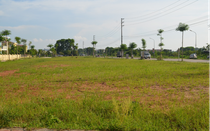 Huyện Mê Linh đấu giá 33 thửa đất, thu về gần 226 tỷ đồng
