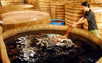 Quốc hồn, quốc túy của Việt Nam: Điều kỳ diệu trong chiếc thùng gỗ, nơi sản xuất ra loại nước mắm ngon nhất