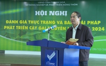 Thanh Hoá: Chính quyền, doanh nghiệp và nông dân cùng đồng hành gỡ khó cho cây gai xanh