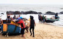 Ngư dân Quảng Bình ra khơi trúng đậm cá ngứa, 1 kg bán giá gần 700.000 đồng, đút túi tiền triệu/ngày