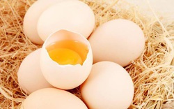 Giá trứng tăng 80%, Nhật Bản và Châu Âu đứng trước “cuộc khủng hoảng trứng gà” trầm trọng nhất chưa từng có trong lịch sử