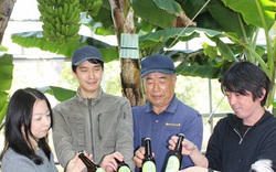 Bia chuối đầu tiên trên thế giới được sản xuất theo dây chuyền công nghệ hiện đại ở Nhật Bản