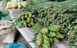 Phiên chợ "nhà thừa gì bán nấy" có đủ loại đặc sản rau, củ ở vùng cao nơi miền Tây xứ Nghệ