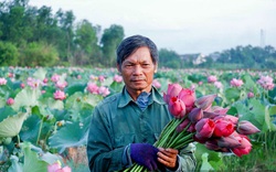 63 Nông dân Việt Nam xuất sắc 2021 là 63 câu chuyện làm giàu và sống đẹp