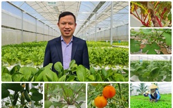 Tỷ phú quê rau má trở thành nông dân Việt Nam chuyển đổi số xuất sắc như thế nào?