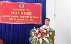 Tại phiên họp bất thường, BCH Hội Nông dân tỉnh Gia Lai đã bầu ông Võ Anh Tuấn giữ chức Chủ tịch