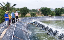 Quảng Bình: Trang trại tiền tỷ trên vùng đất nhiễm mặn
