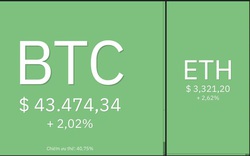 Giá Bitcoin hôm nay 13/1: Bitcoin, Altcoin trở lại vùng xanh