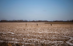 Chiến sự Nga-Ukraine: Vựa ngũ cốc của thế giới đang gặp nguy hiểm