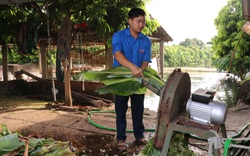 Bắc Ninh: Hội Nông dân Gia Bình triển khai linh hoạt nhiều giải pháp, cùng nông dân thích ứng với đại dịch