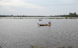 Giữa mùa khô mà nước sông Mekong dâng cao, liệu có phải do rối loạn hệ sinh thái, quy luật đảo lộn?