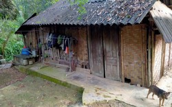 Thanh Hoá: 119 hộ dân xã Thanh Hòa sống lay lắt chờ tái định cư