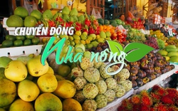 Chuyển động Nhà nông 26/5: Xuất khẩu trái cây Việt đón nhiều tin vui