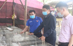 Nuôi thỏ, trồng cây ăn quả từ vốn ưu đãi Ngân hàng CSXH, trai làng Bắc Giang ngày càng khấm khá