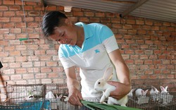 Nuôi giống thỏ ngoại đẹp như thú cưng, nông dân nơi này của Đắk Lắk bán 70.000-75.000 đồng/kg