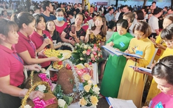 Hà Nội: Hội thi mít thị xã Sơn Tây lần thứ nhất