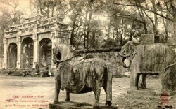 Con ngựa trong các khu lăng mộ vua Nguyễn biểu tượng cho điều gì?