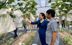 Phó Chủ tịch Hội NDVN Bùi Thị Thơm: Tôn vinh 100 Nông dân Việt Nam xuất sắc là những nhà nông giỏi, xứng đáng nhất