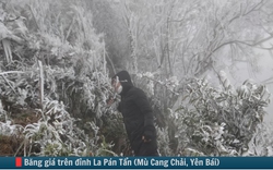 Hình ảnh báo chí 24h: Băng giá xuất hiện trên đỉnh La Pán Tẩn, nhiệt độ xuống cực thấp