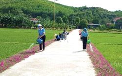 Nông thôn mới Quảng Bình sáng láng hẳn lên từ đường hoa mười giờ, hàng rào đẹp như phim điện ảnh