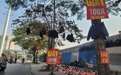Chuyện lạ ở Hà Nội: Treo quần áo lên cây để bán hàng