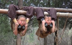 Chú tiểu 6 tuổi treo mình lơ lửng trên cây luyện võ Kung-fu