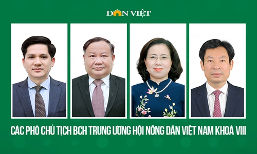Chân dung các Phó Chủ tịch Ban Chấp hành Trung ương Hội Nông dân Việt Nam khoá VIII