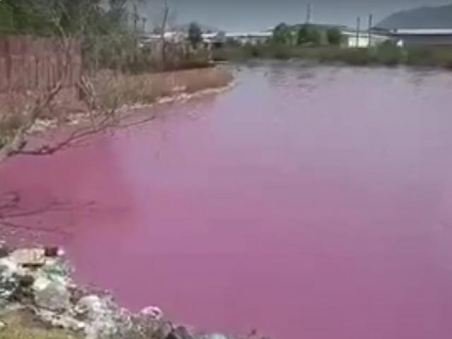 Kỳ lạ hồ nước chuyển màu hồng, bốc mùi hôi thối