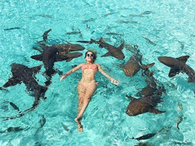 Cô gái Đức mặc bikini hối hận vì chụp ảnh cùng đàn cá mập