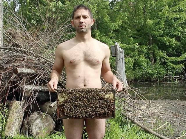 Video: Chàng trai khỏa thân chơi đùa với ong