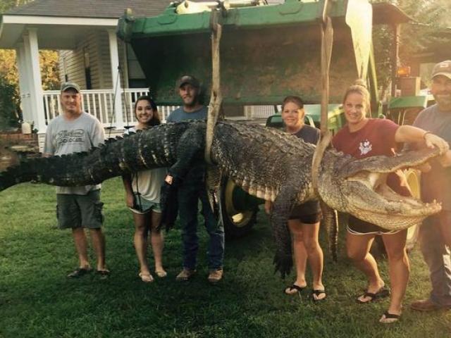 Nữ thợ săn bắt được cá sấu khổng lồ nặng 300kg