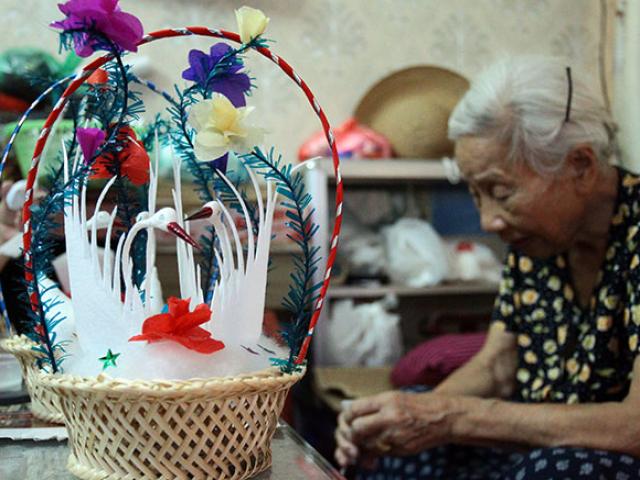Gia đình 70 năm “nuôi” thiên nga bông giữa lòng Hà Nội