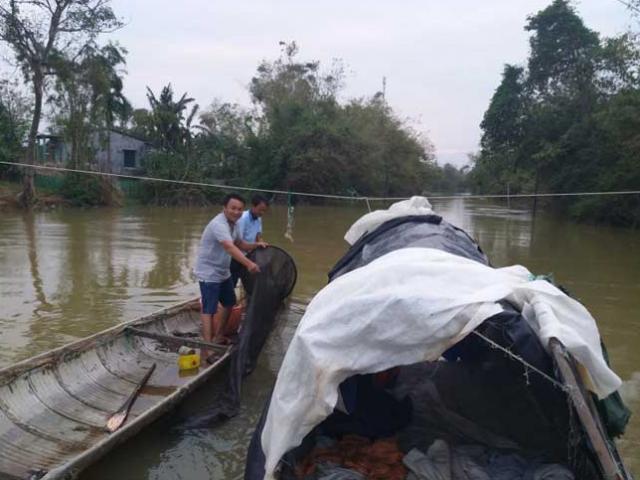 Xả thân săn cá chình trên dòng nước lũ