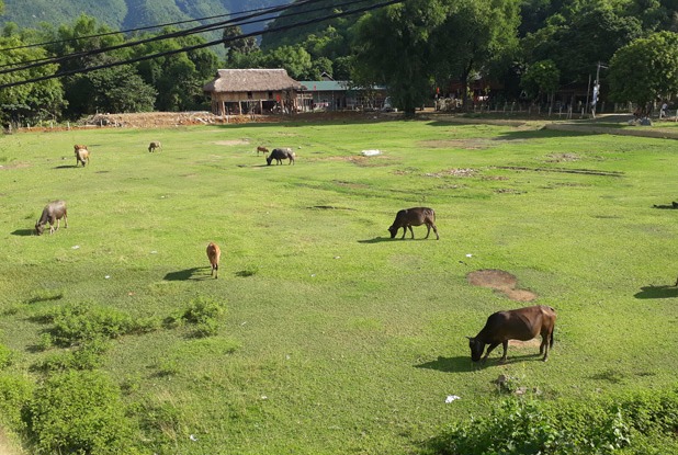 Thu vàng yên ả nơi thung lũng Mai Châu