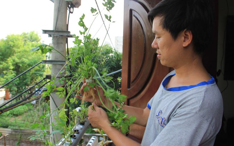 Dù chỉ rộng 2m2 nhưng vườn rau di động của anh Nguyễn Hiểu Biết (Hà Nội) vẫn đủ cung cấp rau ăn hàng ngày cho gia đình anh. (Ảnh Imageshack)