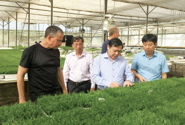 Ủy viên Trung ương Đảng, Chủ tịch Ban Chấp hành Trung ương Hội nông dân Việt Nam Lại Xuân Môn (thứ 2 bên phải) thăm khu trồng rau mầm công nghệ cao, siêu sạch của Công ty Teshuva Agricultural Projects-TAP (Israel).