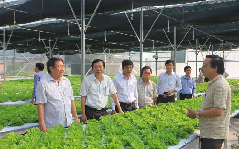Quảng Trị đang định hướng phát triển nông nghiệp công nghệ cao, nông sản sạch. Trong ảnh: Ông Hà Sỹ Đồng, Phó Chủ tịch UBND tỉnh Quảng Trị (bên trái ngoài cùng) cùng lãnh đạo các ban, ngành thăm mô hình trồng rau sạch công nghệ cao ở huyện Hải Lăng. 
