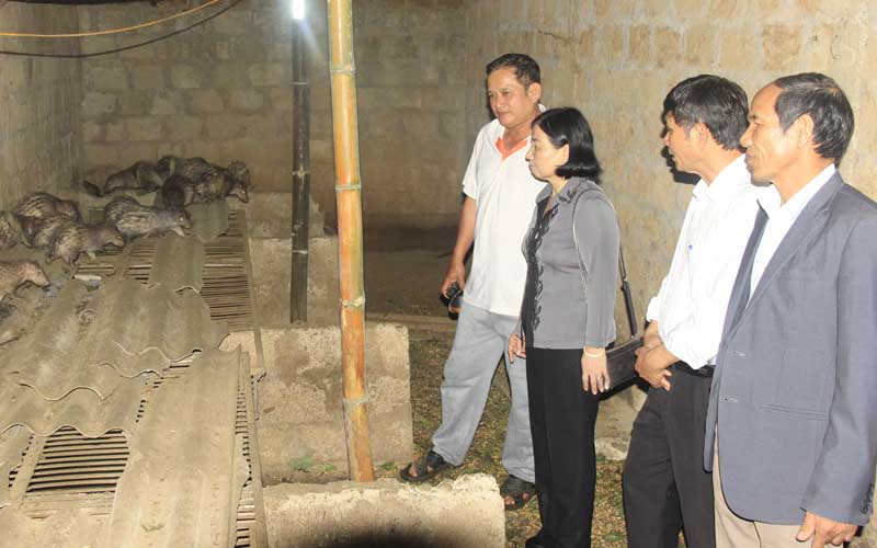 Lãnh đạo Trung ương Hội Nông dân Việt Nam thăm trang trại nuôi trồng tổng hợp của hộ dân tại huyện Gio Linh.