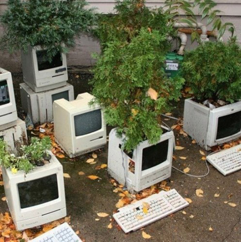 Máy tính bàn cũ trở thành chậu trồng cây rất tiện lợi.