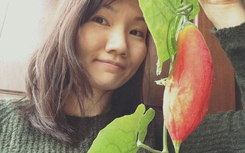 Ít ai nghĩ rằng với diện tích ban công vỏn vẹn chỉ 5m2, chị Vân Hương (Hà Nội) vẫn có thể trồng cả một khu vườn đầy rau quả cho gia đình mình sử dụng. (Ảnh Imageshack)
